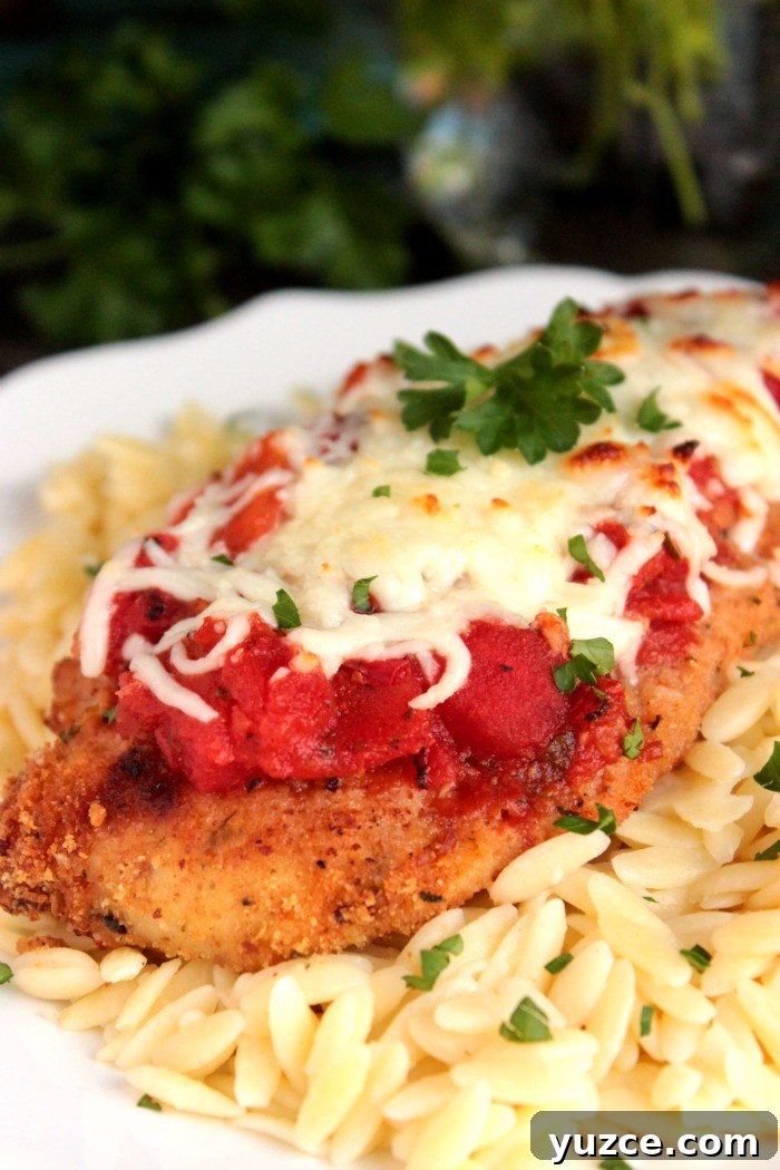 Weeknight Baked Chicken Parmesan Recipe for Busy Evenings 2 Easy Weeknight Baked Chicken Parmesan