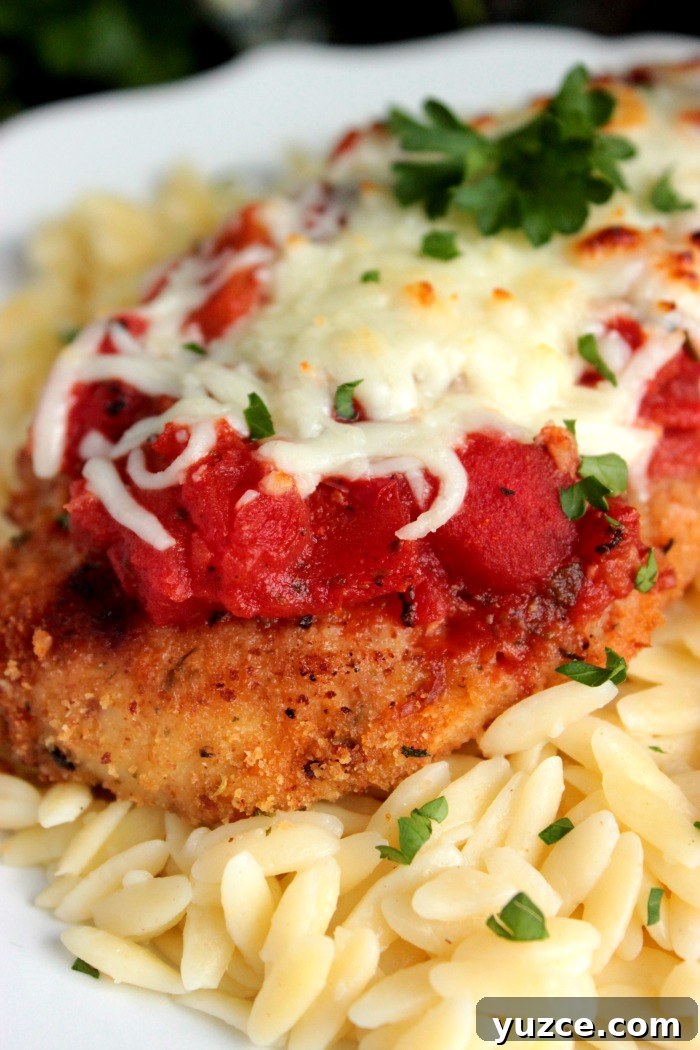 Weeknight Baked Chicken Parmesan Recipe for Busy Evenings 4 Easy Weeknight Baked Chicken Parmesan