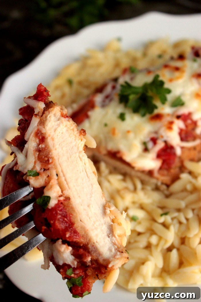 Weeknight Baked Chicken Parmesan Recipe for Busy Evenings 5 Easy Weeknight Baked Chicken Parmesan