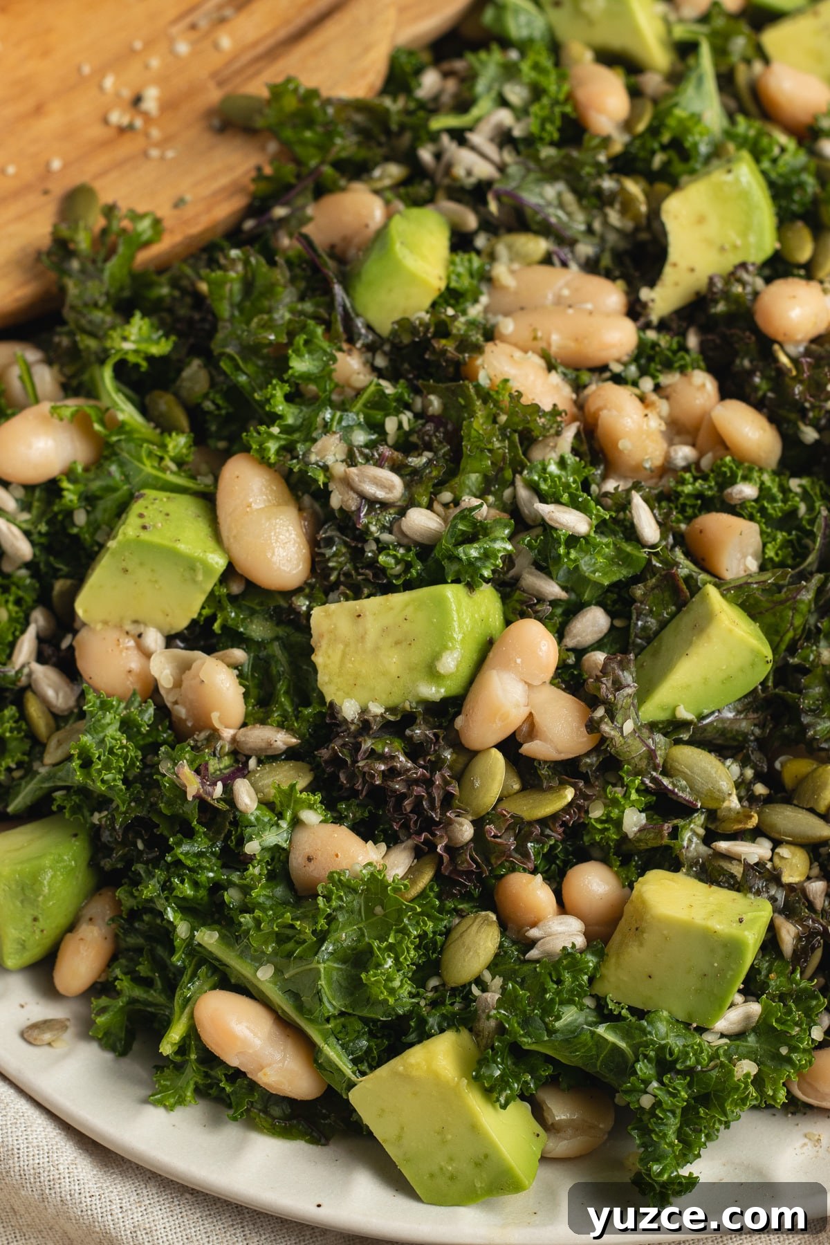 This is a picture close up of the kale white bean salad.