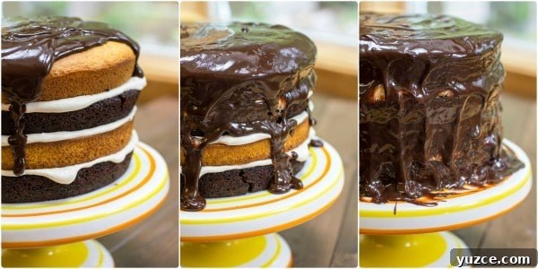 Checkerboard Marble Cake Recipe: How to Make a Stunning Swirl Cake 12 fauxstess cake horizontal collage