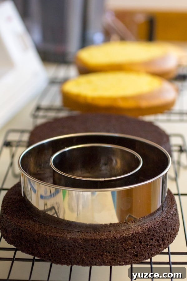 Checkerboard Marble Cake Recipe: How to Make a Stunning Swirl Cake 6 Fauxstess Checkerboard Marble Cake