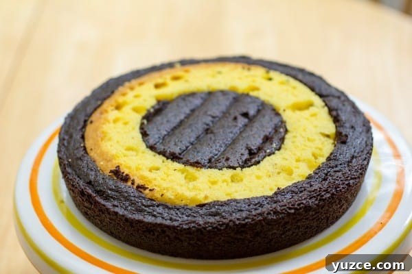 Checkerboard Marble Cake Recipe: How to Make a Stunning Swirl Cake 7 Fauxstess Checkerboard Marble Cake