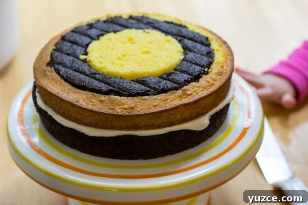 Checkerboard Marble Cake Recipe: How to Make a Stunning Swirl Cake 8 Fauxstess Checkerboard Marble Cake