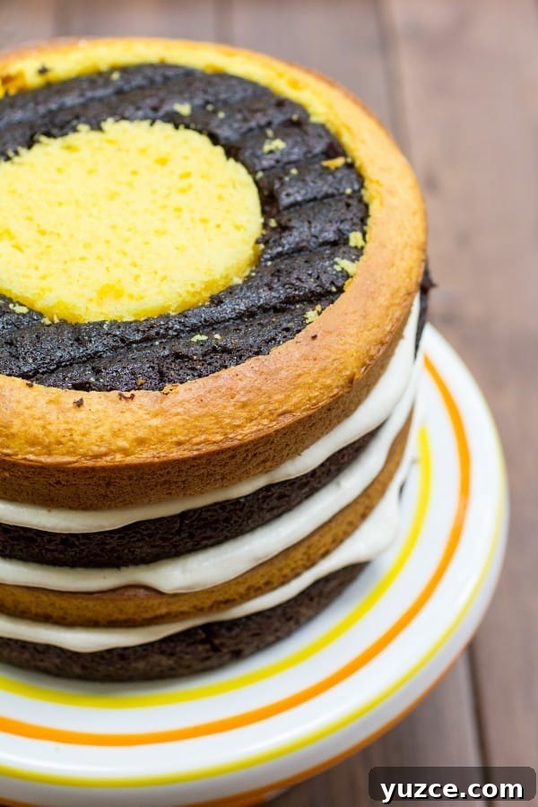 Checkerboard Marble Cake Recipe: How to Make a Stunning Swirl Cake 9 Fauxstess Checkerboard Marble Cake