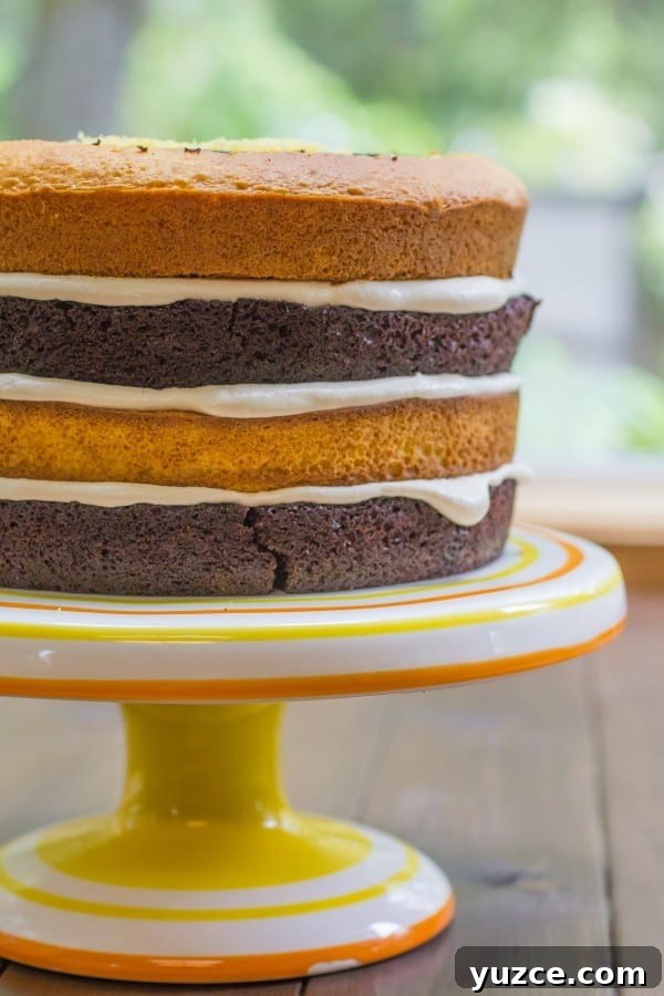 Checkerboard Marble Cake Recipe: How to Make a Stunning Swirl Cake 10 Fauxstess Checkerboard Marble Cake