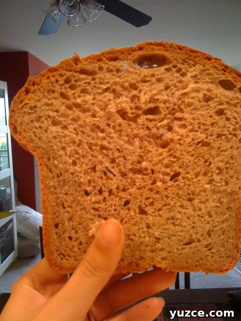 Strawberry Lemon Flaxseed Quick Bread Recipe 3 img 729 2