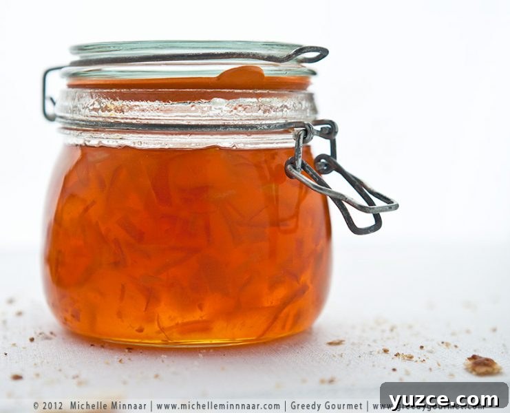 Fruit Preserves Explained: Jams, Jellies, Marmalade & More 11 seville orange marmalade in a jar