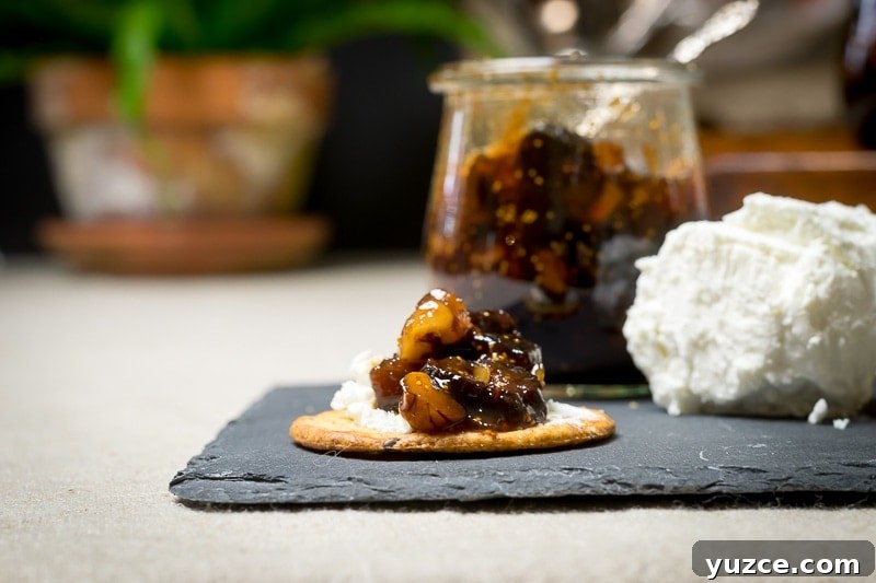 Fruit Preserves Explained: Jams, Jellies, Marmalade & More 13 meyer lemon and dried fig conserves with goat cheese