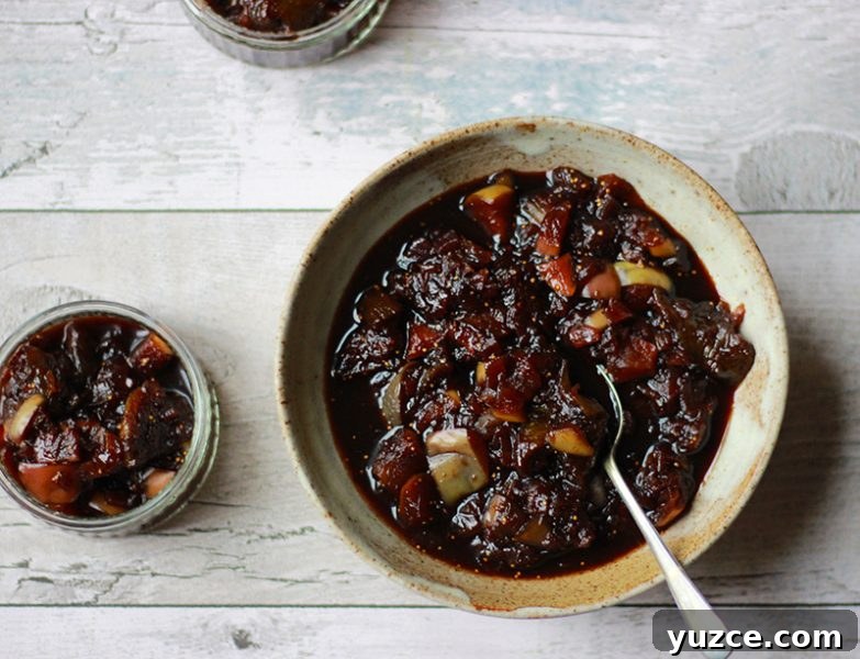 Fruit Preserves Explained: Jams, Jellies, Marmalade & More 15 fig and apple balsamic chutney in a bowl