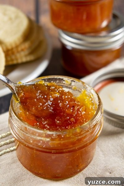 Fruit Preserves Explained: Jams, Jellies, Marmalade & More 3 loquat jam