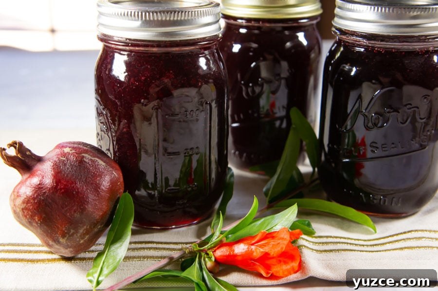 Fruit Preserves Explained: Jams, Jellies, Marmalade & More 5 three jars of pomegranate jelly