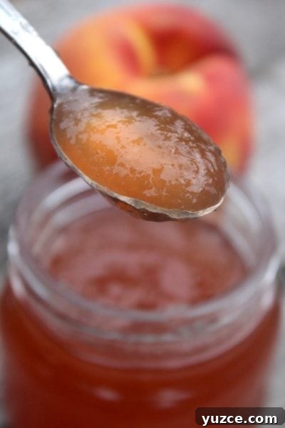 Fruit Preserves Explained: Jams, Jellies, Marmalade & More 6 peach jelly spooned over a jar
