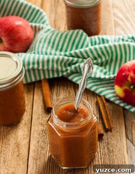 Fruit Preserves Explained: Jams, Jellies, Marmalade & More 7 slow cooked apple butter