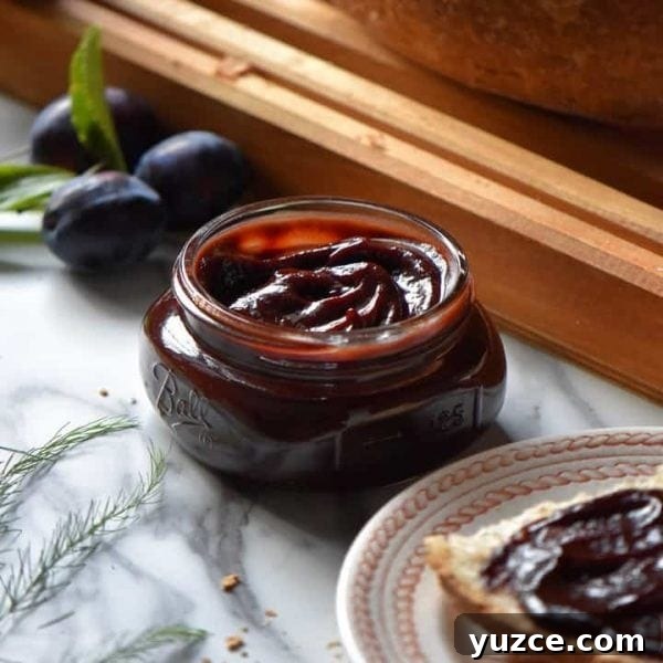 Fruit Preserves Explained: Jams, Jellies, Marmalade & More 8 plum butter in a jar