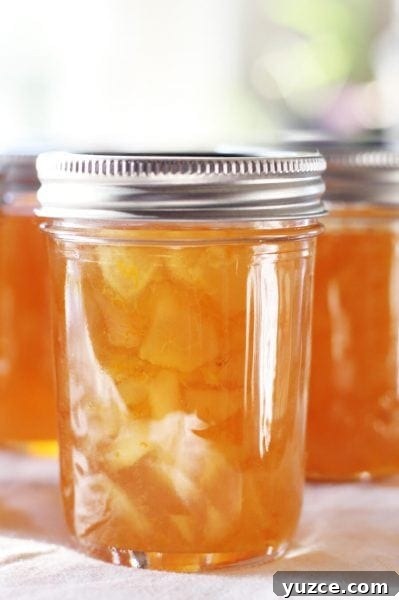 Fruit Preserves Explained: Jams, Jellies, Marmalade & More 9 jar of citrus ginger pear preserves