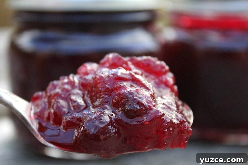 Fruit Preserves Explained: Jams, Jellies, Marmalade & More 10 spoon of whole cranberry sauce