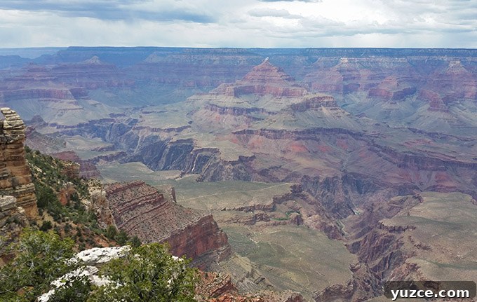 Spotted a Bear in Arizona: Where and What to Know 17 Arizona Trip 17