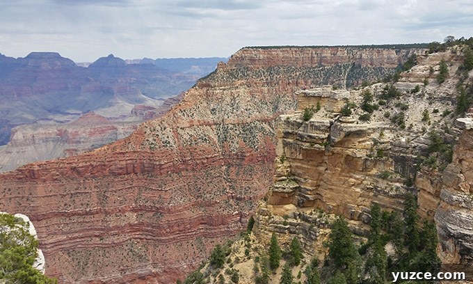 Spotted a Bear in Arizona: Where and What to Know 18 Arizona Trip 18