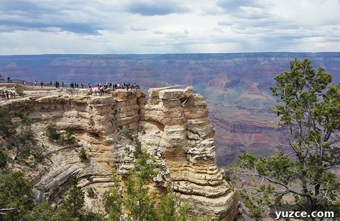 Spotted a Bear in Arizona: Where and What to Know 19 Arizona Trip 16