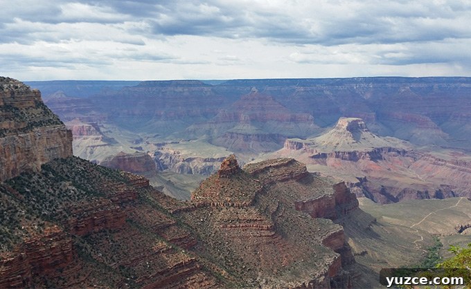 Spotted a Bear in Arizona: Where and What to Know 21 Arizona Trip 20