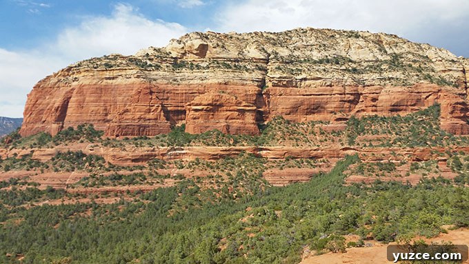 Spotted a Bear in Arizona: Where and What to Know 23 Arizona Trip 25