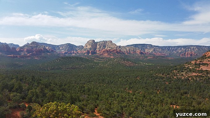 Spotted a Bear in Arizona: Where and What to Know 24 Arizona Trip 26