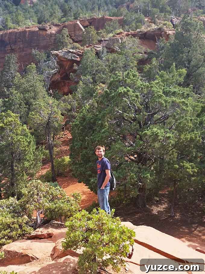 Spotted a Bear in Arizona: Where and What to Know 26 Arizona Trip 24