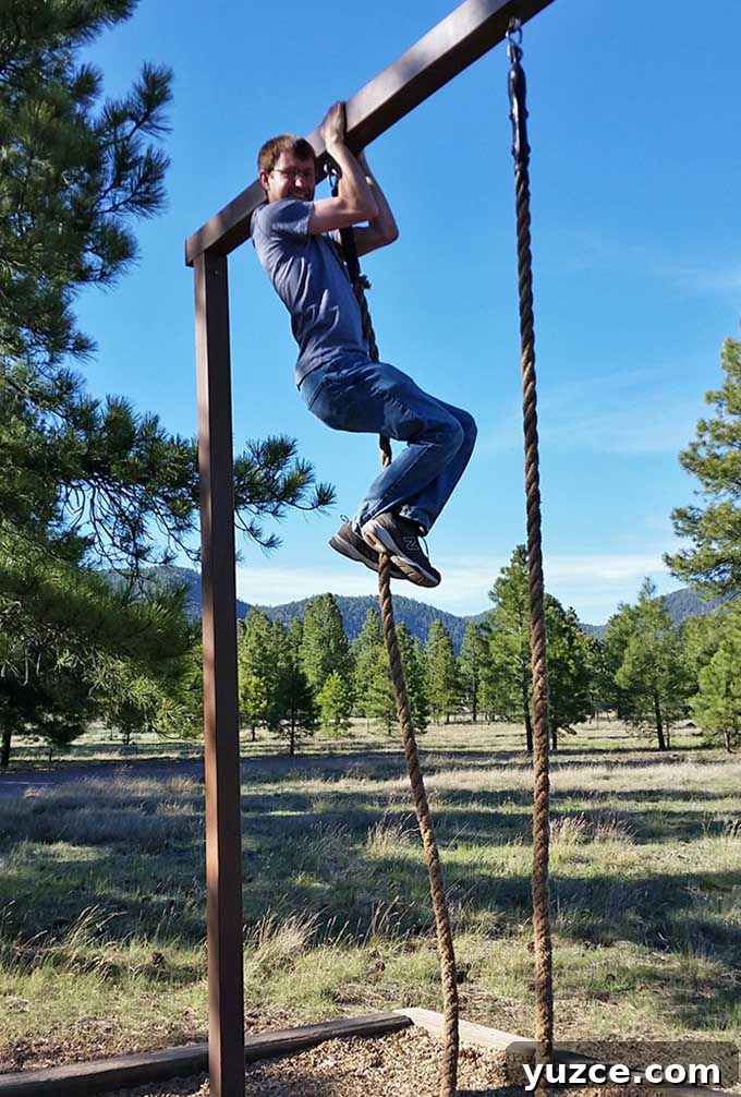 Spotted a Bear in Arizona: Where and What to Know 4 Arizona Trip 5