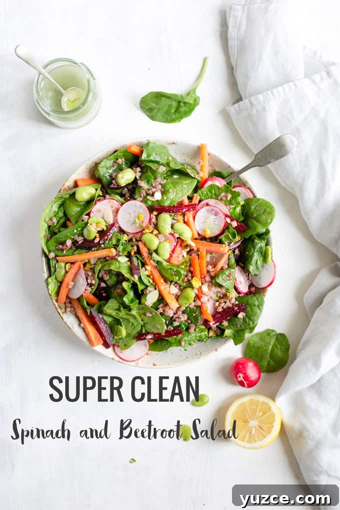 Crisp Spinach and Beetroot Salad with Tangy Citrus Dressing 10 Super clean spinach and beetroot salad with bulgur wheat! It's packed with crunchy, fresh vegetables and drizzled with lemon and olive oil dressing. Perfect for lunch or dinner! #saladrecipe #spinachsalad #cleaneating | via @annabanana.co