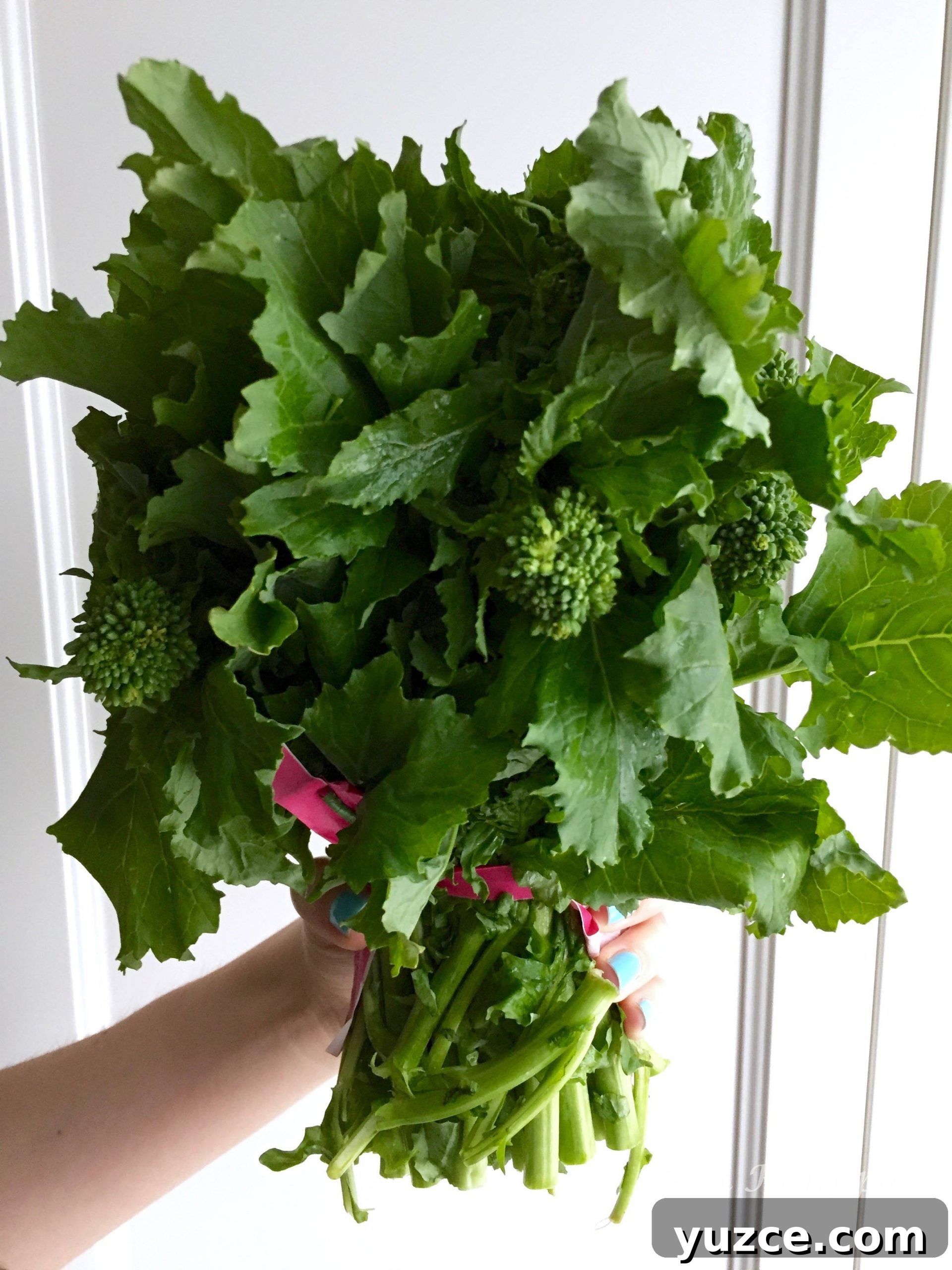 Rapini