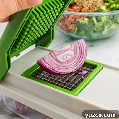 Vegetable chopper with red onion in it ready to chop.
