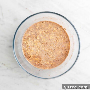 Vegan Baked Oatmeal Recipe with Fruit and Nuts 14 Vegan baked oatmeal ingredients mixed in a large bowl, excluding the blueberries.