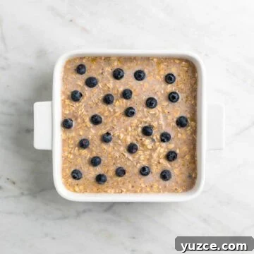 Vegan Baked Oatmeal Recipe with Fruit and Nuts 16 Vegan baked oatmeal mixture in a baking dish topped with blueberries.