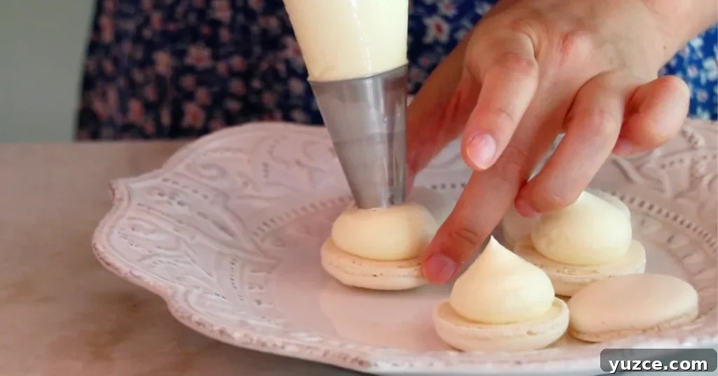 Luscious Lemon Buttercream Frosting Recipe for Cakes and Cupcakes 12 piping lemon buttercream on macaron shells