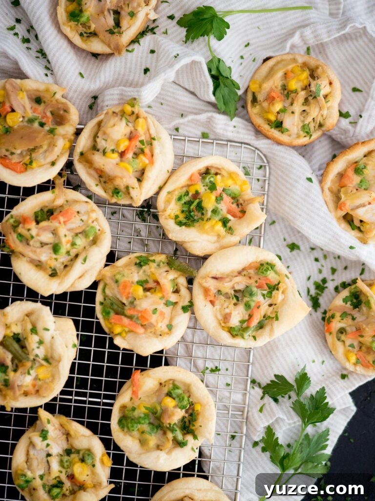 Mini Chicken Pot Pies Baked in Crescent Rolls 2 chicken pot pie bites