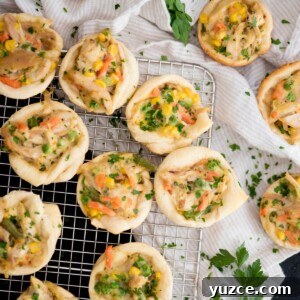 Mini Chicken Pot Pies Baked in Crescent Rolls 11 chicken pot pie bites