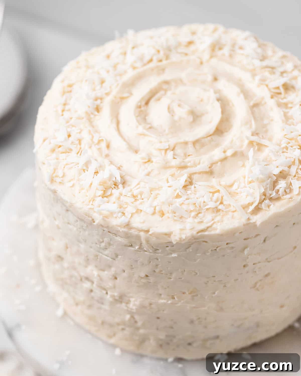 Moist Coconut Layer Cake Recipe 16 Coconut Cake frosted with coconut frosting and sprinkled with shredded coconut