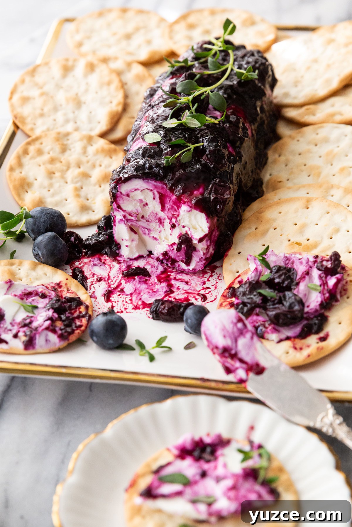 Creamy Goat Cheese Log with Blueberries and Honey 2 Blueberry goat cheese log