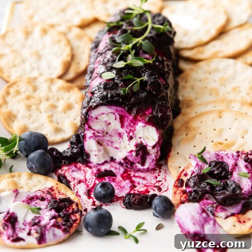 Creamy Goat Cheese Log with Blueberries and Honey 10 blueberry goat cheese appetizer