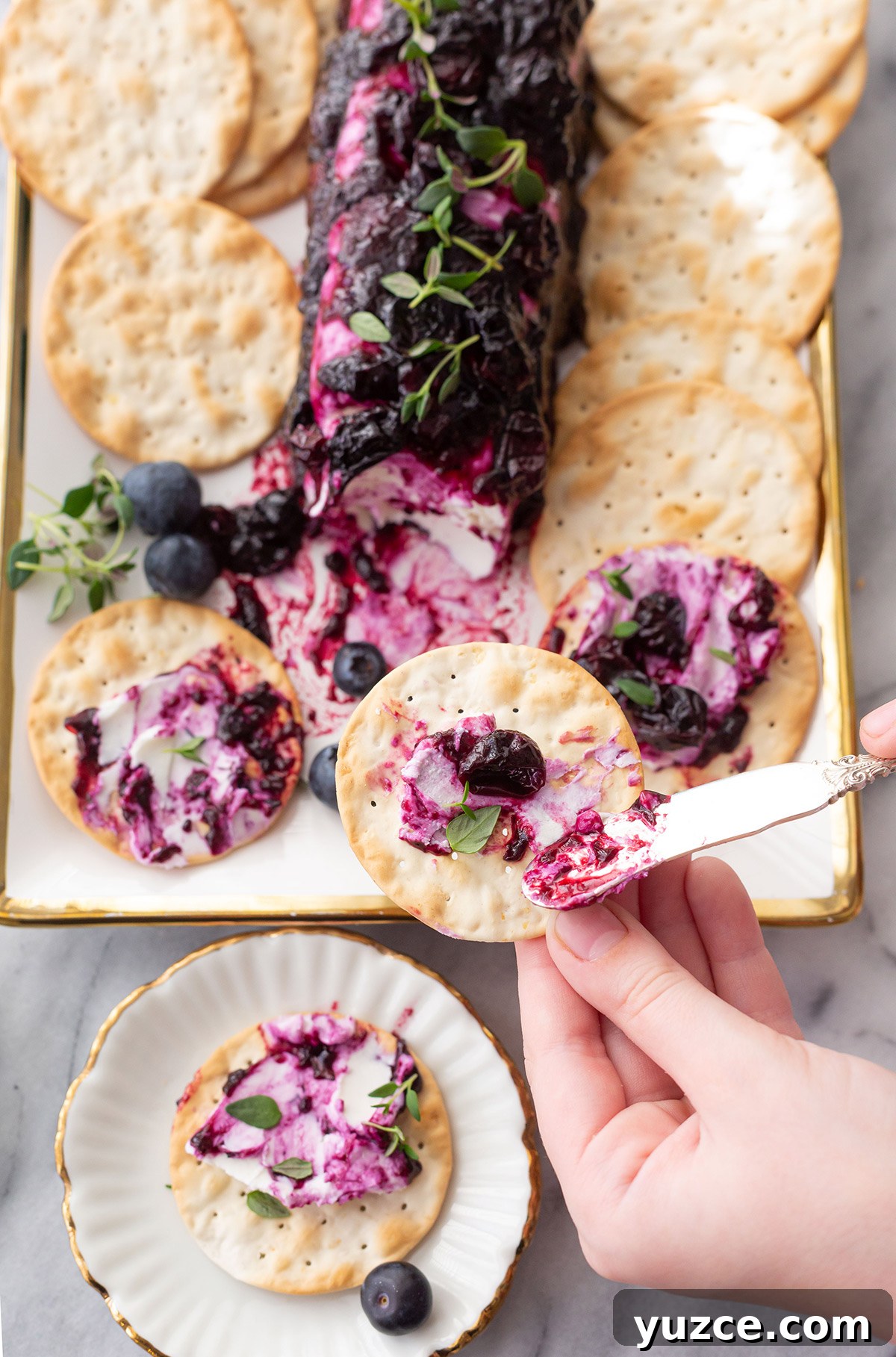 Creamy Goat Cheese Log with Blueberries and Honey 6 blueberry goat cheese appetizer