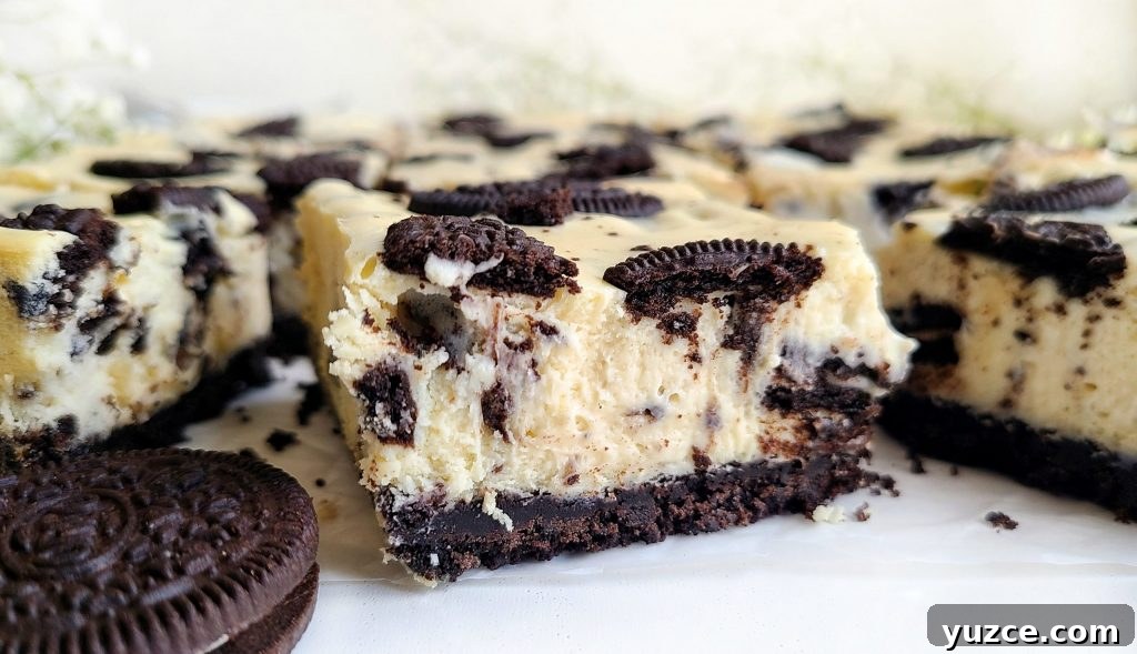 oreo cheesecake bars