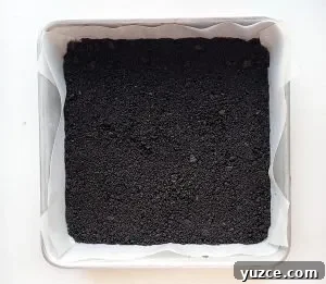 oreo crumb cheesecake crust
