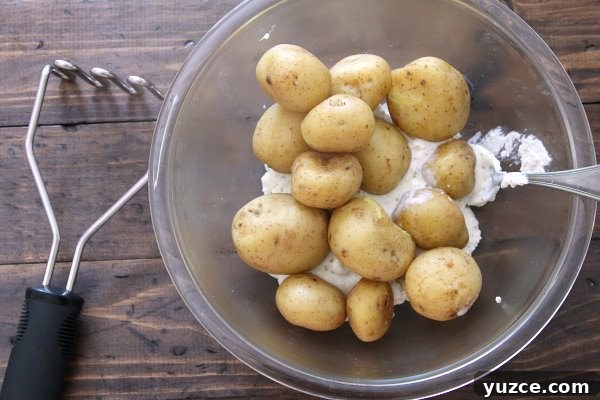 RICOTTA HERB MASHED POTATOES potatoes and ricotta mixture in mixing bowl