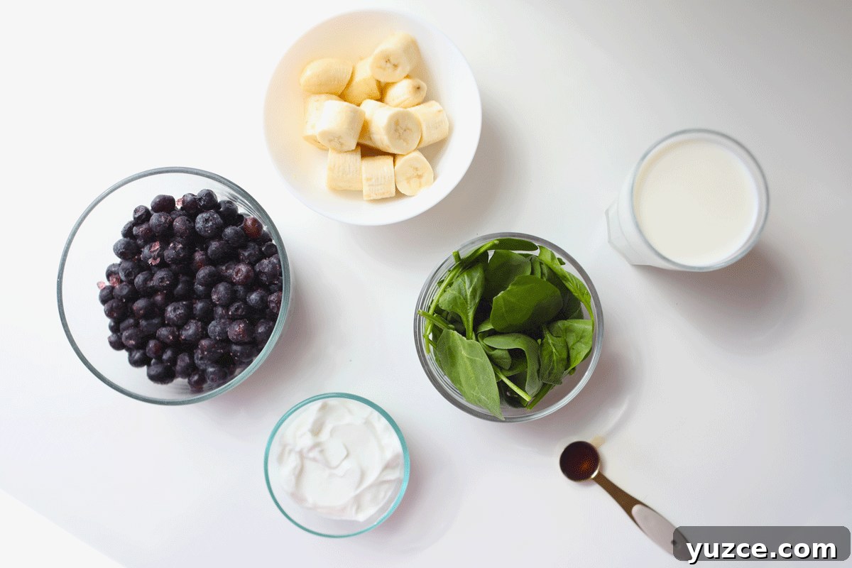 Blueberry Spinach Smoothie Recipe for Energy and Weight Support 3 Bowls of blueberries, bananas, spinach, yogurt, milk and vanilla in them.
