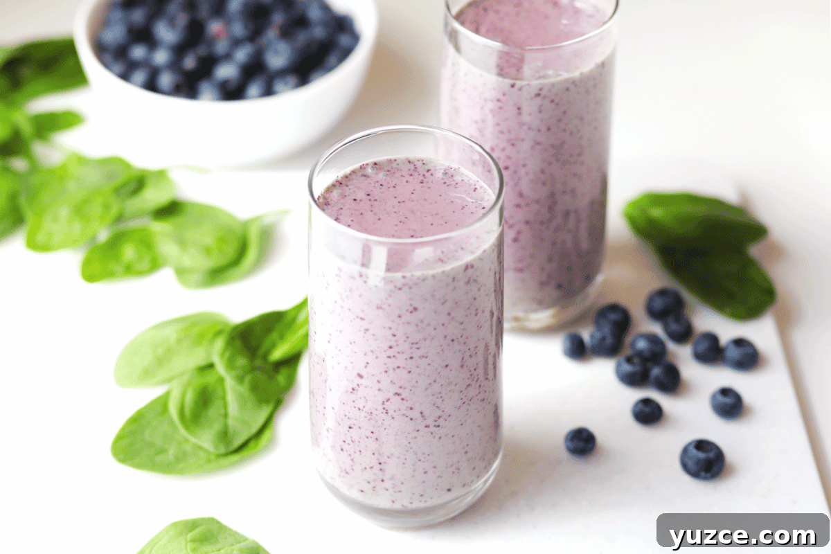 Blueberry Spinach Smoothie Recipe for Energy and Weight Support 6 Two glasses with a blueberry spinach smoothie in them. There are blueberries and spinach leaves laying around.