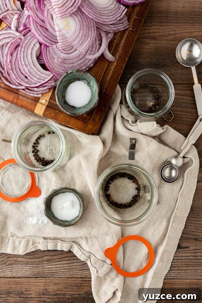 Crisp Quick Pickled Red Onions for Tacos, Salads, & Sandwiches 4 filling jars for pickled red onions