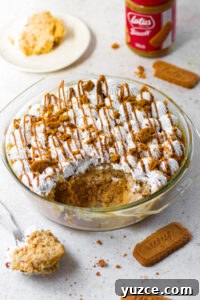 7-Minute Eggless Biscoff Mug Cake Recipe 2 Biscoff milk cake