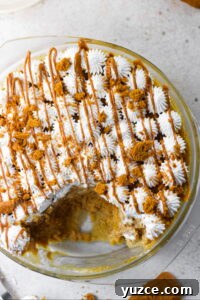 7-Minute Eggless Biscoff Mug Cake Recipe 3 Biscoff cake slice