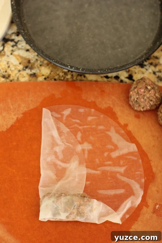 Gluten-Free Beef Sausage Rolls with Creamy Tzatziki Dip 8 rolling rice paper wrappers 4